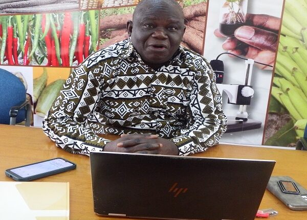 DIRECTEUR CNRA